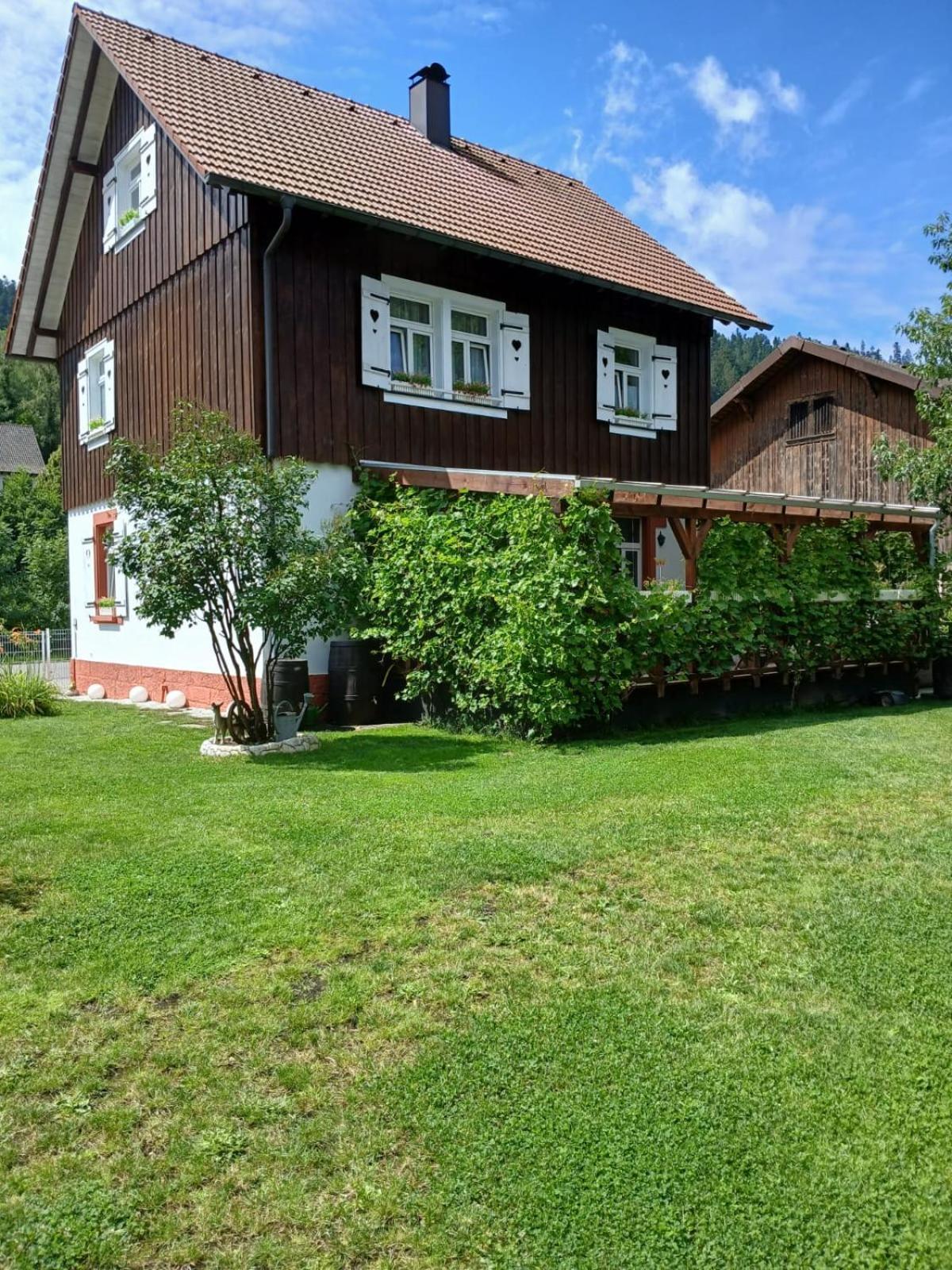 Familienfreundliches-Luxus-Bahnwaerterhaus Villa Schiltach Bagian luar foto